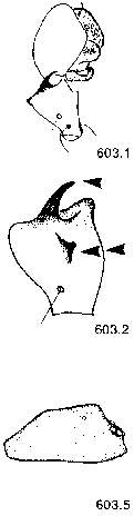{short description of image}