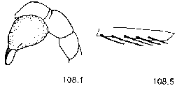 {short description of image}