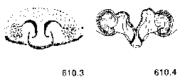 {short description of image}