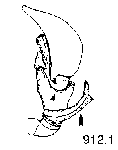 {short description of image}
