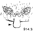 {short description of image}