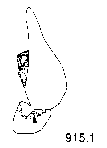 {short description of image}