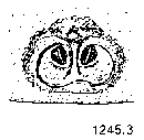 {short description of image}