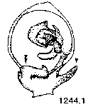 {short description of image}