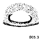 {short description of image}