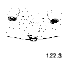 {short description of image}