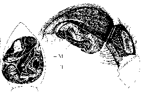 {short description of image}