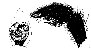 {short description of image}