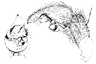 {short description of image}