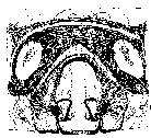 {short description of image}