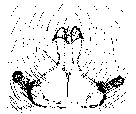 {short description of image}