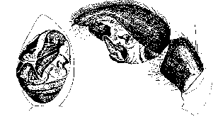 {short description of image}