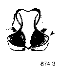 {short description of image}