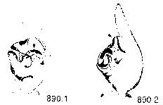 {short description of image}