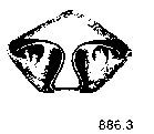 {short description of image}