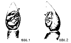{short description of image}