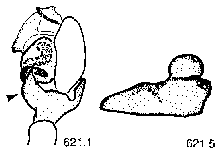 {short description of image}