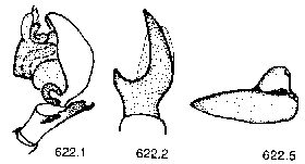 {short description of image}