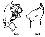 {short description of image}