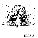 {short description of image}