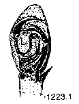 {short description of image}