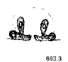 {short description of image}