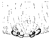 {short description of image}