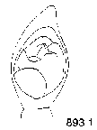 {short description of image}