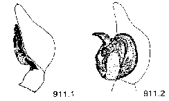 {short description of image}