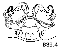 {short description of image}