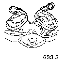{short description of image}