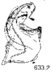 {short description of image}