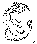 {short description of image}