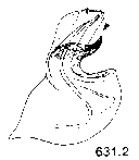 {short description of image}