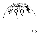 {short description of image}
