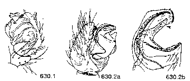 {short description of image}