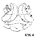 {short description of image}