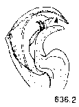 {short description of image}