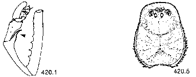{short description of image}