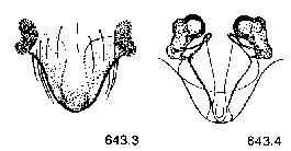 {short description of image}
