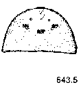 {short description of image}