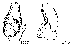{short description of image}