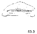 {short description of image}