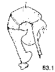 {short description of image}