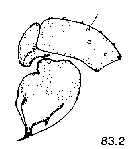 {short description of image}