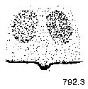 {short description of image}