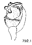 {short description of image}