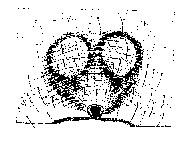{short description of image}