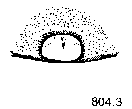{short description of image}