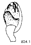 {short description of image}